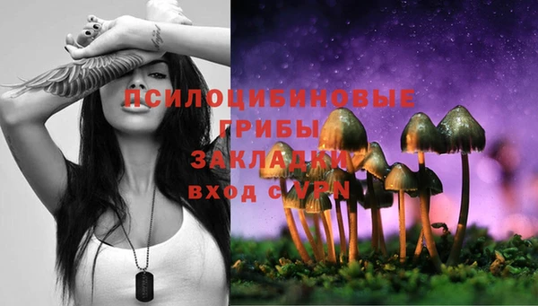 винт Бугульма