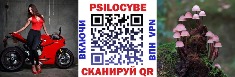 Галлюциногенные грибы Psilocybine cubensis  Купить  Заволжск 